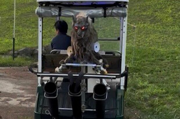 赤色LEDの目が特徴的な「モンスターウルフ」（太田精器株式会社）