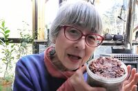 《ユーチュー婆》年金3万円でひとり暮らしを満喫!水原希子もハマる、69歳の女性YouTuberの物価高に負けな…