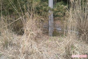 《京都小6男児行方不明事件》4月12日、安達結希さんの靴が発見された場所