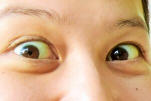 ３泊４日の韓国旅行へ新宿某珍しくアイドルＴを着ていない伊藤さん当初は楽しそうだった……当初は……。（左から）五十嵐さん、伊藤さん、玉さんジーン・シモンズ（KISS）みたいなんノリなんノリなんノリ思いだすのに必死な伊藤さんなんノリ急に優しい顔になりだす玉さんナンタのチケット再び、喫茶店で説明をする伊藤さん顔がむくむ玉さん玉さんwith五十嵐さん五十嵐さんとたわむれる玉さんグラサンのつるを外してしまう玉さんぞうりと玉さん偽SUPREME Tシャツの玉さんドヤる玉さん鼻をかむ玉さんアイスを食べる玉さん不敵な笑みを浮かべる玉さん真剣に否定する伊藤さんしかし余裕がないようにも見える伊藤さん観念する伊藤さん２時間サスペンスのクライマックスのような伊藤さんそして、いよいよ……いよいよ……いよいよ…「完落ち」の瞬間である……目の前でひとりの芸人が自我が崩壊していく……新しい伊藤那美の覚醒である……チマチョゴリVer.