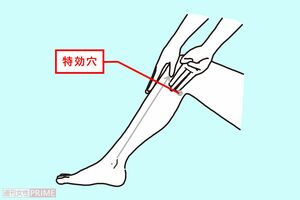 お疲れ度Check！あなたの腎臓大丈夫？　イラスト／二階堂ちはる