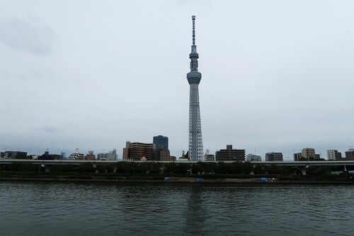 スカイツリーができるとき、隅田川のほとりや公園にテントを張っていたホームレスの多くがこの場を離れていった