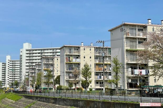 多国籍の人々が暮らすいちょう団地