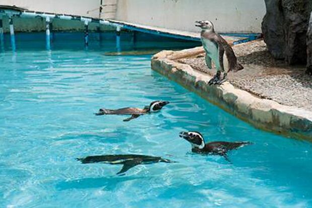 『のとじま臨海公園水族館（のとじま水族館）』公式HPより