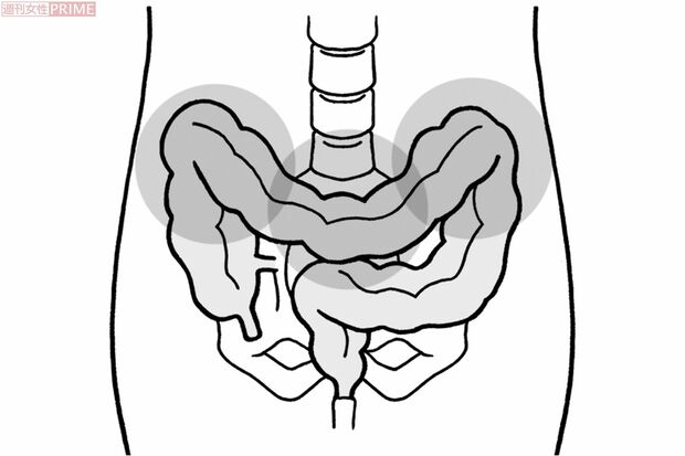 大腸押し上げマッサージでは、ここをマッサージ！　イラスト／上田惣子