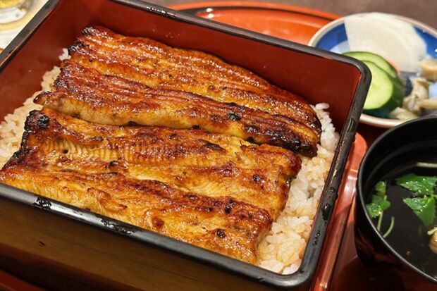 十二支で数えると「夏土用の丑の日」が2回ある年もあり、1度目を一の丑、2度目を二の丑と呼ぶ。今年は2回ある年で、二の丑は8月5日だ　※写真はイメージです