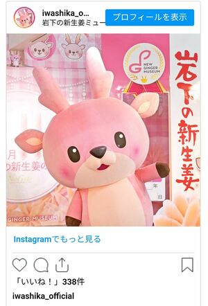 社員手作りの衣装姿のイワシカちゃんも好評（公式TikTokより）