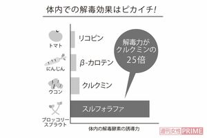 スルフォラファンは体内での解毒効果はピカイチ
