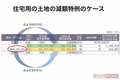 住居用の土地の減額措置の例
