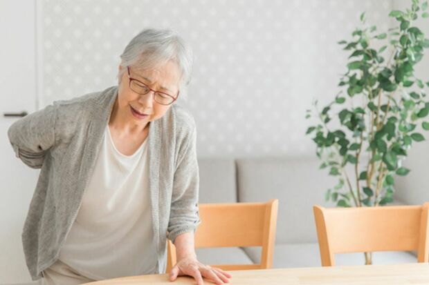 ※画像はイメージです