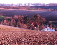 花粉症の50代女性、北海道へ引っ越し「梅雨もないし最高」