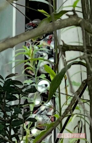 茨城県水戸市の事件が起きた母屋の隣の物置には大量のチューハイの空き缶が