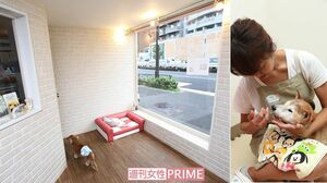 ＜写真左＞1.5×1.5メートルの広々とした個室、窓が大きい6平方メートルの広間でのびのびと生活する犬専用ホーム。床はすべらない素材を使い、インテリアは落ち着いた色彩　＜写真右＞個々の体調に合わせたフードを与え、散歩は1日に1～3回行う　撮影／齋藤周造