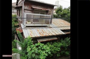 姉妹の遺体が見つかった住居。塀は朽ち、草木は伸びっぱなし