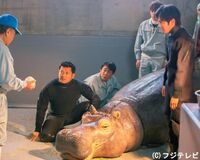 『旭山動物園物語』、役者より動物優先でスケジュール調整