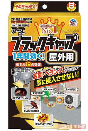 毒餌剤（屋外型）ブラックキャップ 屋外用（アース製薬）　