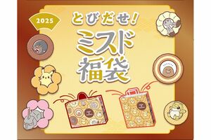 『とびだせ!ミスド福袋2015』はポケモンとコラボレーションしている(公式ホームページより)
