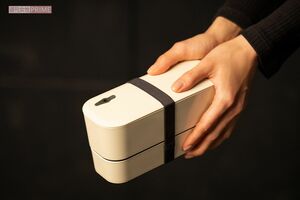 燃え殻『きれいに騙して』より　騙されていても良いと思えたものまね風俗嬢のお弁当　撮影／矢島泰輔