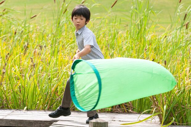 2015年9月、9歳になられた際に宮内庁から公表された悠仁さまのご近影。宮邸がある赤坂御用地内では、愛用する虫取り網でトンボやセミを捕まえられることも。放課後にはお友達と虫やカエルを捕って観察し、その後は元の場所に戻すことを心がけられていた。