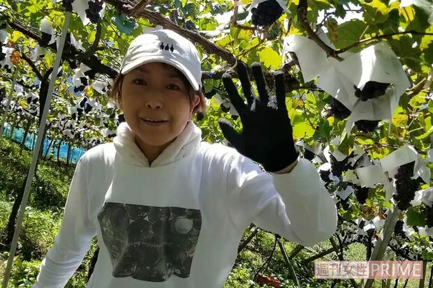 日本を代表する品種のひとつ、甲州を収穫する須合さん