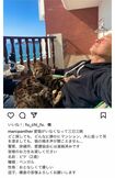 失踪した愛猫の目撃情報を募ったマーク・パンサー（本人のインスタグラムより）https://www.instagram.com/p/CpoXic8P2Tl/