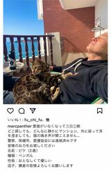 失踪した愛猫の目撃情報を募ったマーク・パンサー（本人のインスタグラムより）