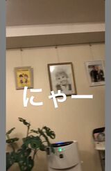 SNS上に流出・拡散された「手越祐也の自宅」とされる画像