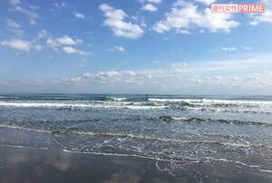 10年以上前から、サーフィンをしに訪れる海