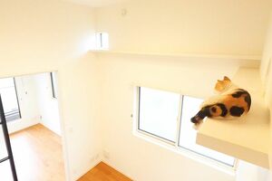 写真提供／木津イチロウさん