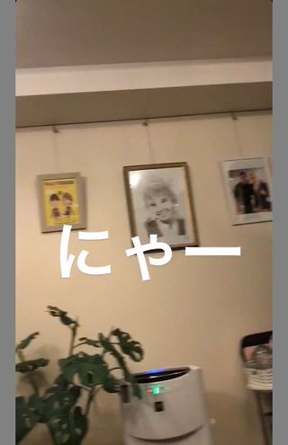 SNS上に流出・拡散された「手越祐也の自宅」とされる画像