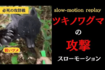 自身のYouTubeチャンネルで熊に襲われている一部始終をアップした『原生林の熊』さん（YouTubeチャンネルより）