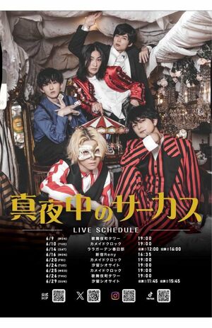 『真夜中のサーカス』