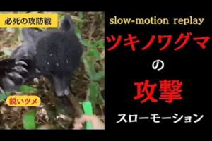 自身のYouTubeチャンネルで熊に襲われている一部始終をアップした『原生林の熊』さん（YouTubeチャンネルより）