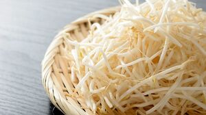 食卓の味方、もやし！