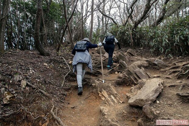 頂上近くになると、より傾斜はきつく足場も悪くなる　撮影／齋藤周造