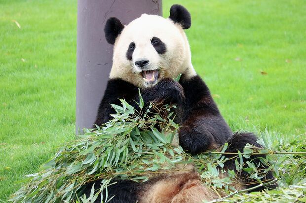 結浜　ゆいひん（撮影／二木繁美）