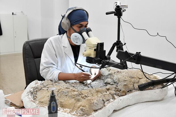 岩石から取り出した化石を技術と集中力をもってクリーニングする、プレパレーターの仕事を間近に見られるコーナーも