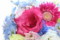 【心理診断】選んだ「残業理由」でわかる、貢ぐor貢がれるタイプ