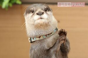 「あざとい」と言われるほど、インスタ映えする“ポーズ”をとってくれるやまと。撮影／吉岡竜紀