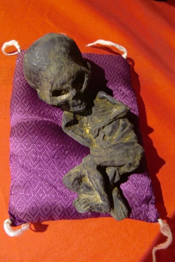 20150811 okaruto (12)