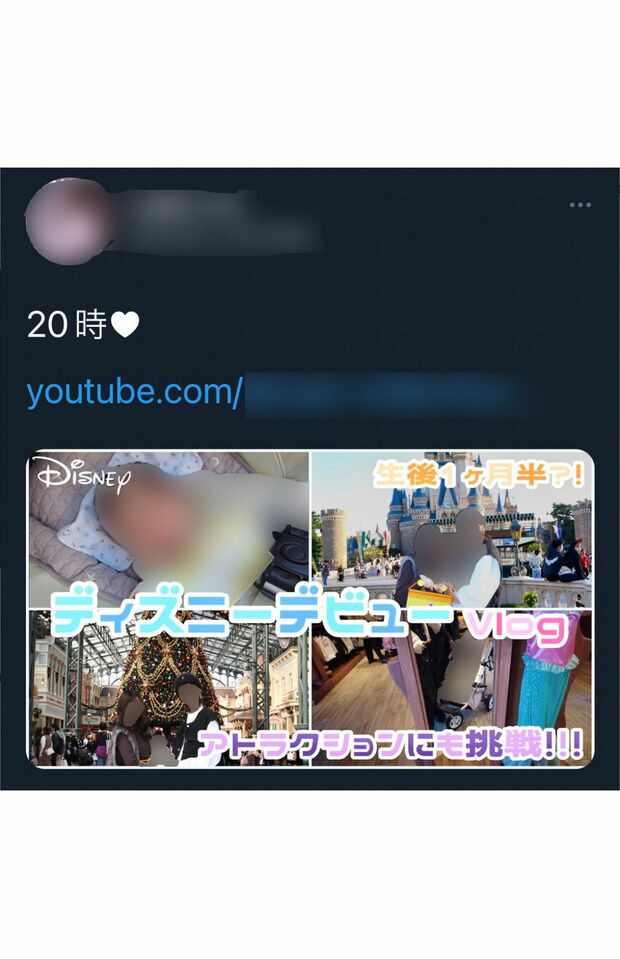 1歳半の赤ちゃんをディズニーランドに連れて行ったことを報告していた（インターネットより、一部編集部加工）
