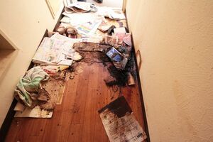 写真右側の黒い部分が髪の毛や血の塊。ここに男性の頭があった。吐血したと思われる血は玄関口（上のほう）に向かい流れていた。風呂場にも吐血した痕が
