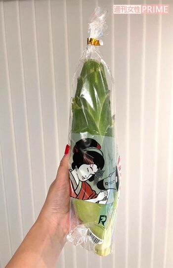 撮影／加藤綾菜