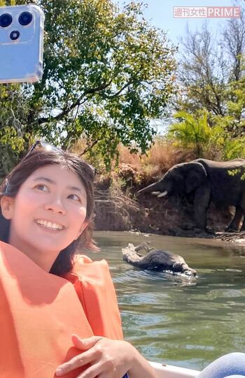 ザンビアにて象と遭遇　写真／原口さん提供