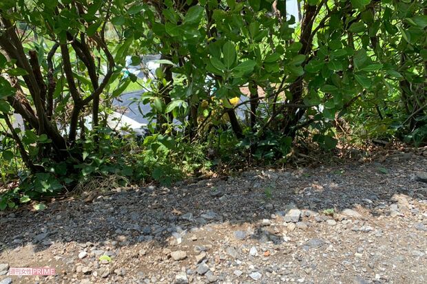 隠れていそうなところは入念にチェック