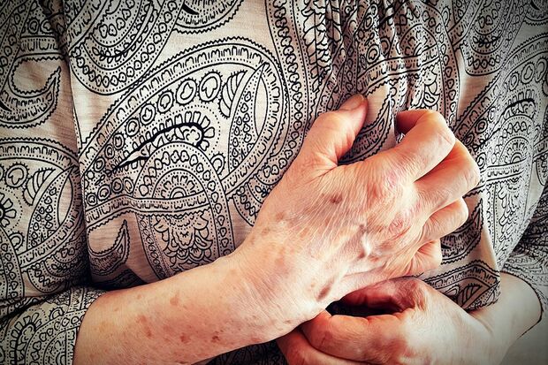 写真はイメージです