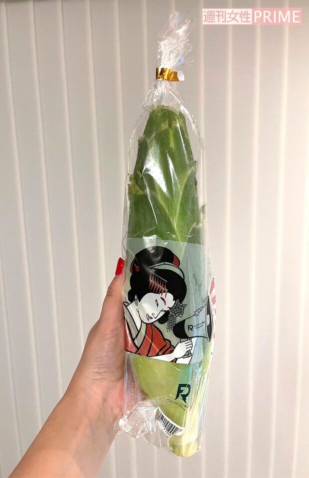 撮影／加藤綾菜