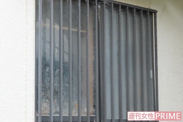 「犬たちは窓を這うシロアリを舐めとって……」