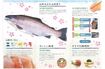 山形のご当地サーモン『ニジサクラ』（県公式サイトのリーフレットより）