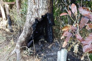 島田容疑者が逮捕された現場の焼け跡。民家からは少し離れている